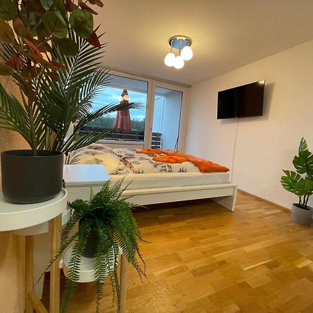 Ferienwohnung In Freudenstadt-Kniebis III Zewnętrze zdjęcie